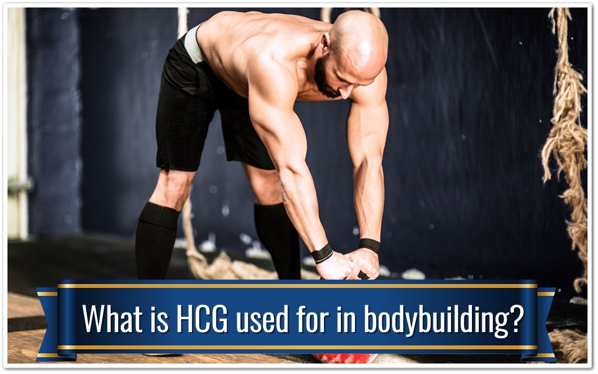What is HCG used for in bodybuilding?