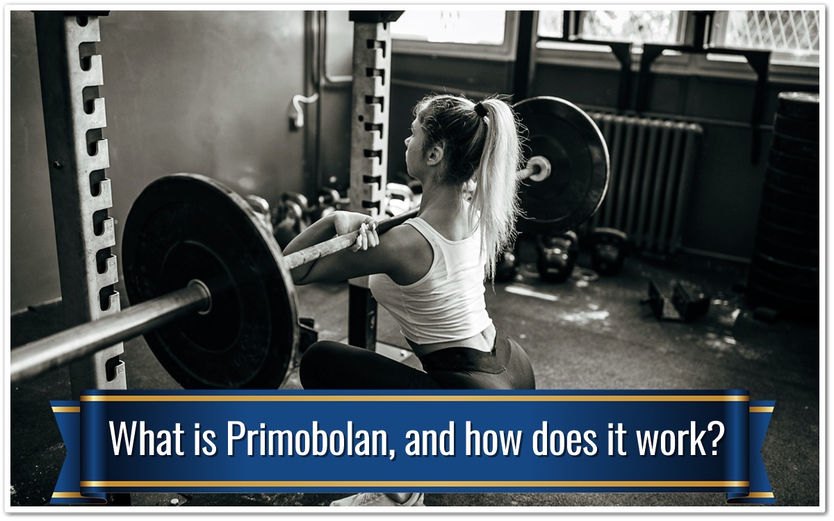 What is Primobolan, and how does it work?