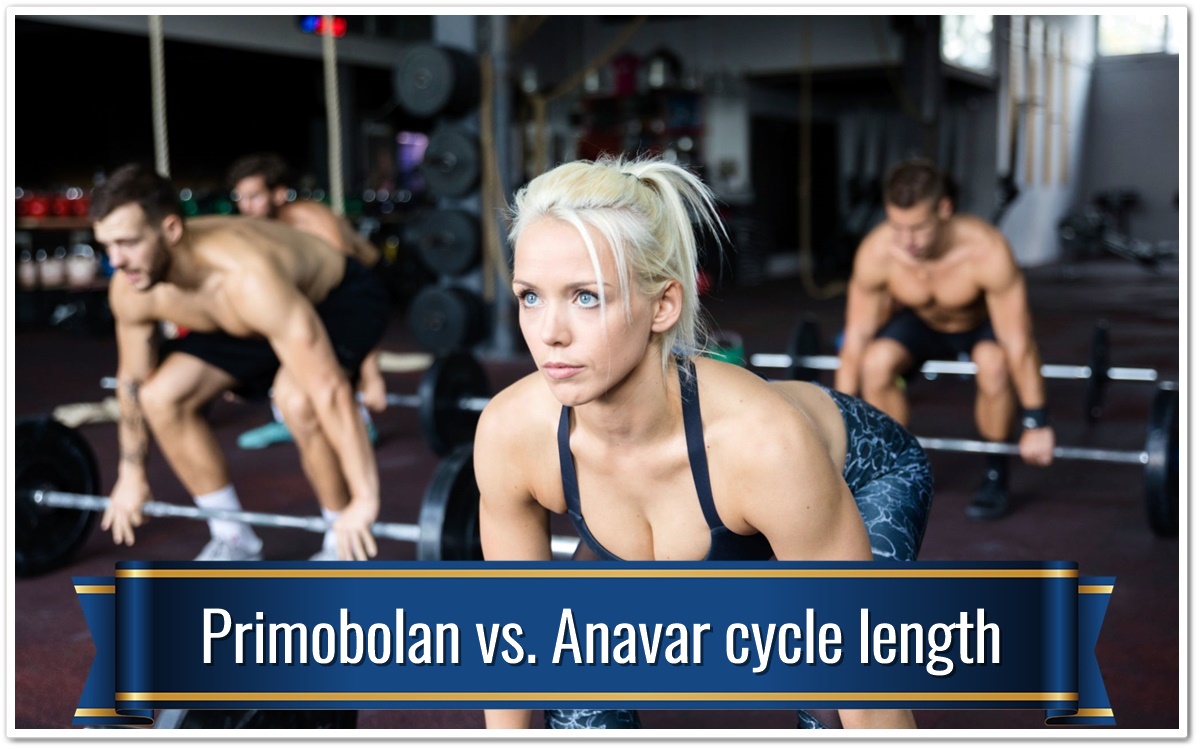 Primobolan vs. Anavar cycle length