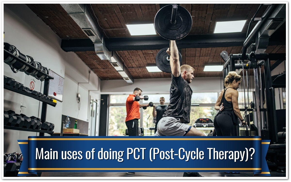 Main uses of doing PCT (Post-Cycle Therapy)?